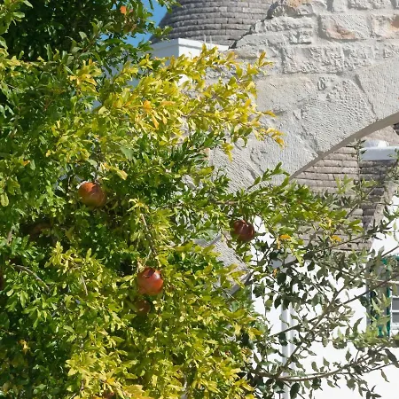 Ferienunterkunft Trullo Anelli *